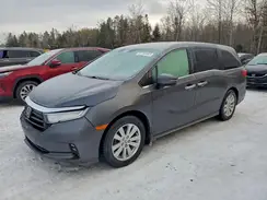 5FNRL6H89PB503985 2023 HONDA ODYSSEY