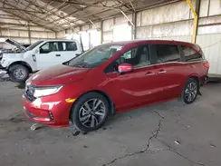 5FNRL6H89RB013145 2024 HONDA ODYSSEY