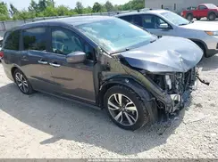 5FNRL6H89RB026543 2024 HONDA ODYSSEY