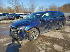 5FNRL6H89RB032925 2024 HONDA ODYSSEY