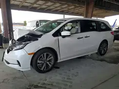 5FNRL6H89RB038238 2024 HONDA ODYSSEY