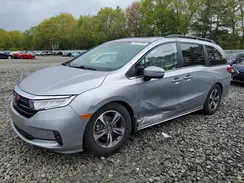 5FNRL6H89RB049983 2024 HONDA ODYSSEY