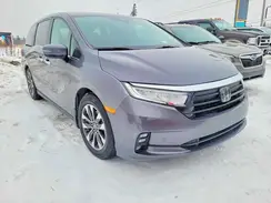 5FNRL6H89RB500636 2024 HONDA ODYSSEY