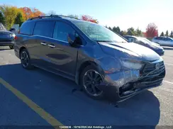 5FNRL6H89RB501799 2024 HONDA ODYSSEY
