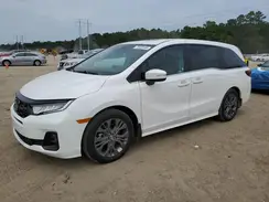5FNRL6H89SB077031 2025 HONDA ODYSSEY