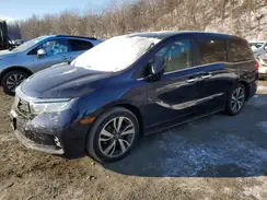 5FNRL6H8XNB061232 2022 HONDA ODYSSEY