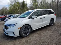 5FNRL6H8XNB504608 2022 HONDA ODYSSEY
