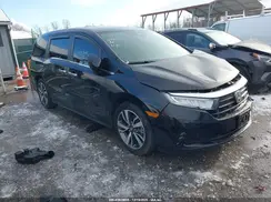 5FNRL6H8XPB009411 2023 HONDA ODYSSEY