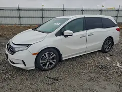 5FNRL6H8XPB029027 2023 HONDA ODYSSEY
