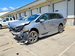 5FNRL6H8XRB007774 2024 HONDA ODYSSEY