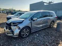 5FNRL6H8XRB031895 2024 HONDA ODYSSEY