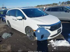 5FNRL6H8XRB064900 2024 HONDA ODYSSEY