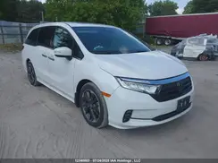 5FNRL6H8XRB501486 2024 HONDA ODYSSEY