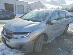 5FNRL6H8XSB009286 2025 HONDA ODYSSEY
