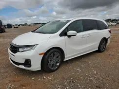 5FNRL6H8XSB039033 2025 HONDA ODYSSEY