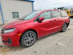 5FNRL6H8XSB049481 2025 HONDA ODYSSEY