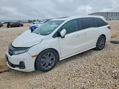 5FNRL6H8XSB064658 2025 HONDA ODYSSEY