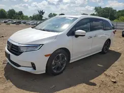5FNRL6H90NB006684 2022 HONDA ODYSSEY