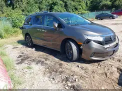 5FNRL6H90PB030132 2023 HONDA ODYSSEY
