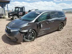 5FNRL6H90PB042667 2023 HONDA ODYSSEY