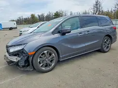 5FNRL6H90RB025564 2024 HONDA ODYSSEY