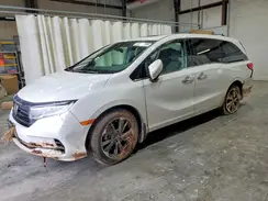 5FNRL6H90RB025872 2024 HONDA ODYSSEY