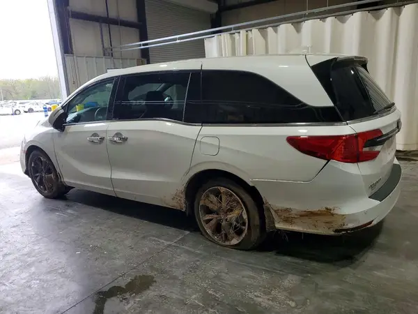 5FNRL6H90RB025872 2024 HONDA ODYSSEY - Image 2