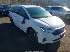 5FNRL6H90RB028139 2024 HONDA ODYSSEY