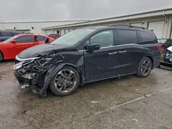 5FNRL6H90RB033230 2024 HONDA ODYSSEY