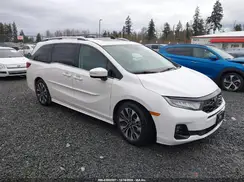 5FNRL6H90SB031662 2025 HONDA ODYSSEY
