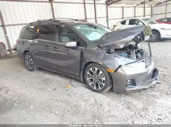 5FNRL6H90SB047179 2025 HONDA ODYSSEY