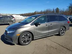 5FNRL6H91NB000263 2022 HONDA ODYSSEY