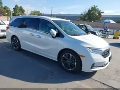 5FNRL6H91NB025986 2022 HONDA ODYSSEY