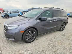 5FNRL6H91NB045834 2022 HONDA ODYSSEY