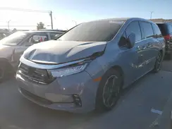 5FNRL6H91RB009602 2024 HONDA ODYSSEY