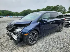 5FNRL6H91RB015996 2024 HONDA ODYSSEY