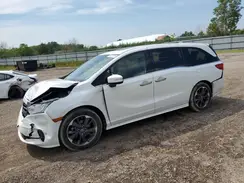 5FNRL6H91RB016601 2024 HONDA ODYSSEY
