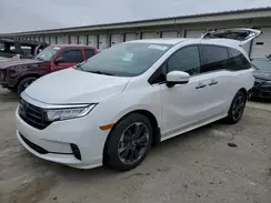 5FNRL6H91RB034256 2024 HONDA ODYSSEY