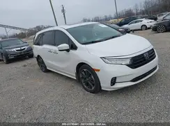 5FNRL6H91RB036962 2024 HONDA ODYSSEY