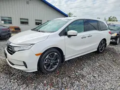 5FNRL6H91RB062252 2024 HONDA ODYSSEY