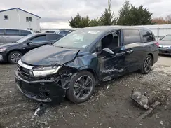5FNRL6H91RB068777 2024 HONDA ODYSSEY