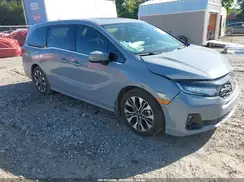 5FNRL6H91SB073306 2025 HONDA ODYSSEY