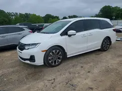 5FNRL6H91TB037245 2026 HONDA ODYSSEY