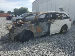 5FNRL6H92KB032618 2019 HONDA ODYSSEY