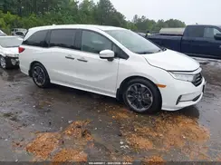 5FNRL6H92RB005946 2024 HONDA ODYSSEY