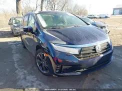 5FNRL6H92RB013531 2024 HONDA ODYSSEY