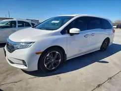 5FNRL6H92RB032807 2024 HONDA ODYSSEY