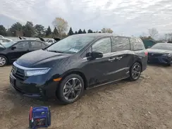 5FNRL6H92RB033228 2024 HONDA ODYSSEY