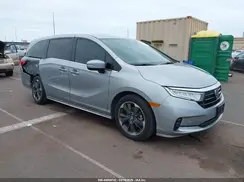 5FNRL6H92RB051003 2024 HONDA ODYSSEY