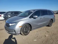 5FNRL6H93MB017810 2021 HONDA ODYSSEY